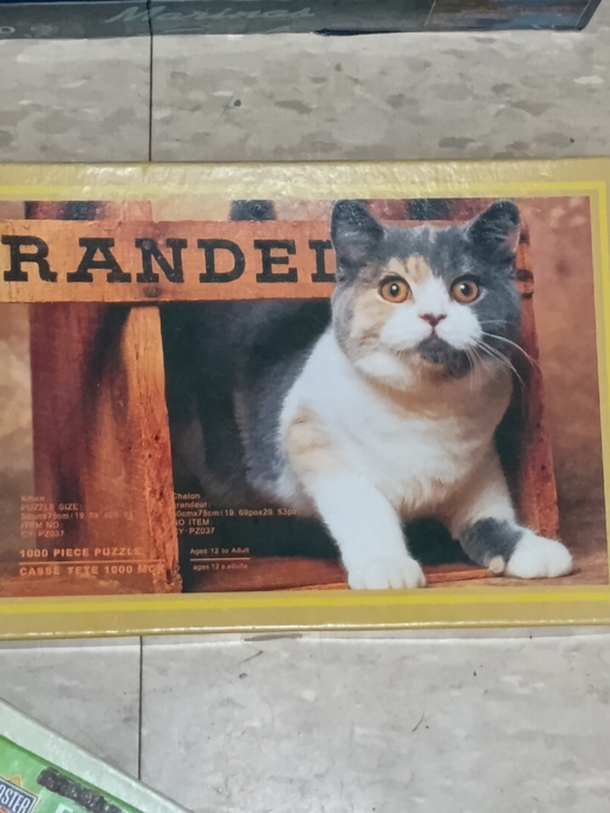 Other - 👻 SALE 👻 Cat Puzzle Featuring Gray & White Cat - Pets Cat